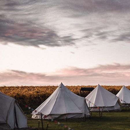 Coonawarra Bush Holiday Park Exterior foto